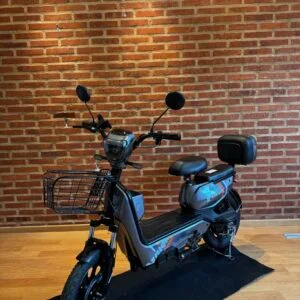 E-Bike Plegable